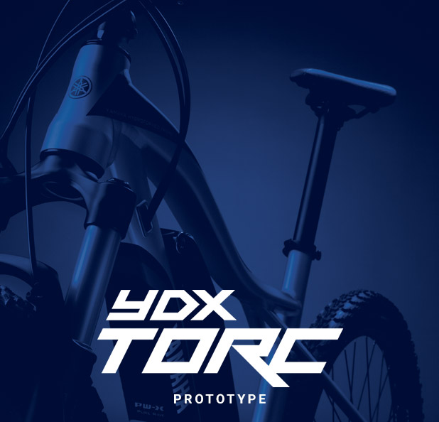 YDX-TORC