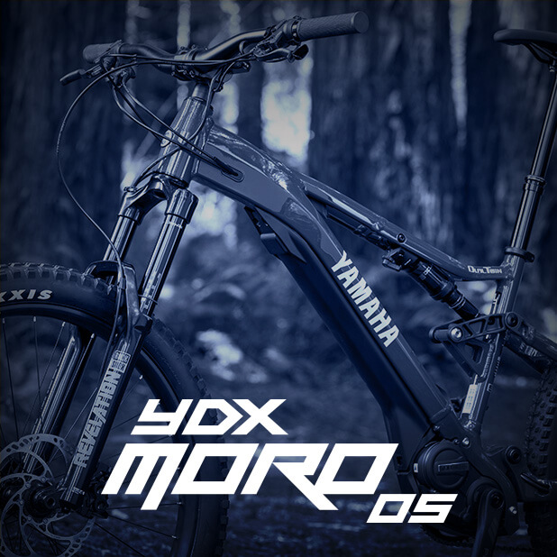 Electric Mountain Bike YDX Moro 07