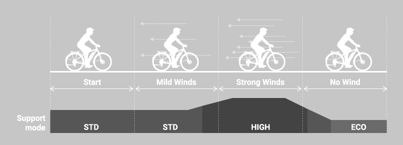 Chart showing a rider against wind